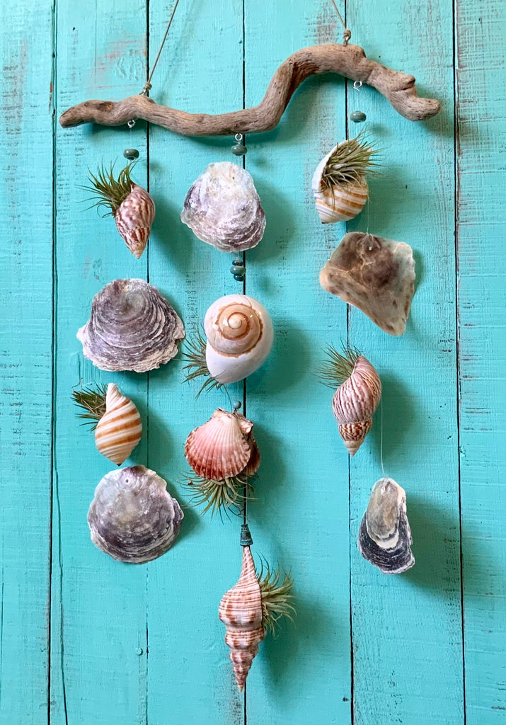 Driftwood Seashell Air Plant Mobile