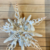 White Coral Starfish Tree Top