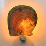 Natural MOP Shell LED Nightlight