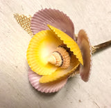 Rainbow Scallop Flower