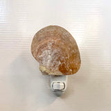 Natural MOP Shell LED Nightlight