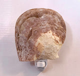 Natural MOP Shell LED Nightlight