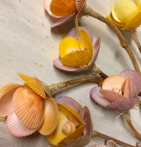 Rainbow Scallop Flower