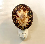 Limpet Shell Nightlight