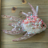 Dazzling Angel Fish Ornament
