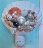 Fancy Scallop Shell Nightlight