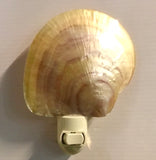 MOP Shell Nightlight