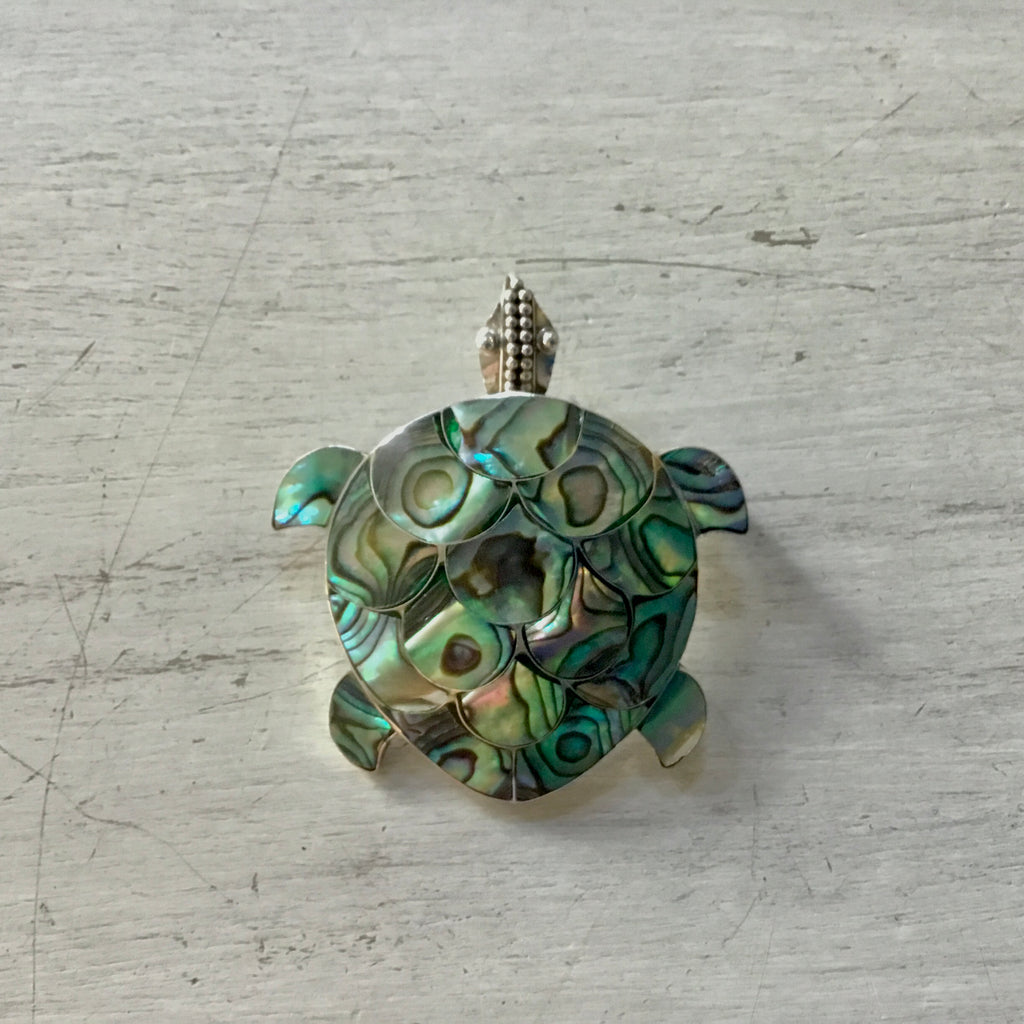 Abalone Turtle Brooch