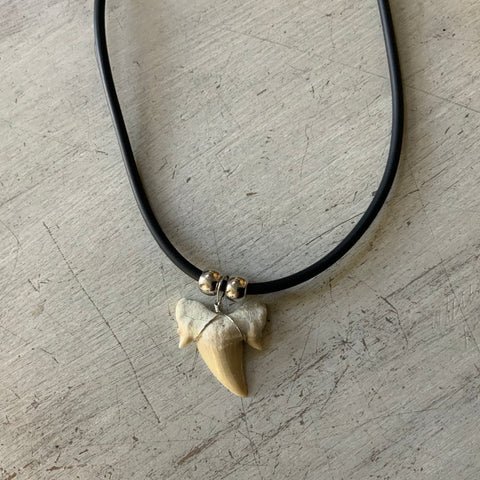 Shark Tooth Rubber Cord Necklace