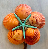 Starfish Scallop Flower
