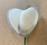 Butterfly Shell Heart Flowers