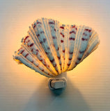 Bear Paw Nightlight