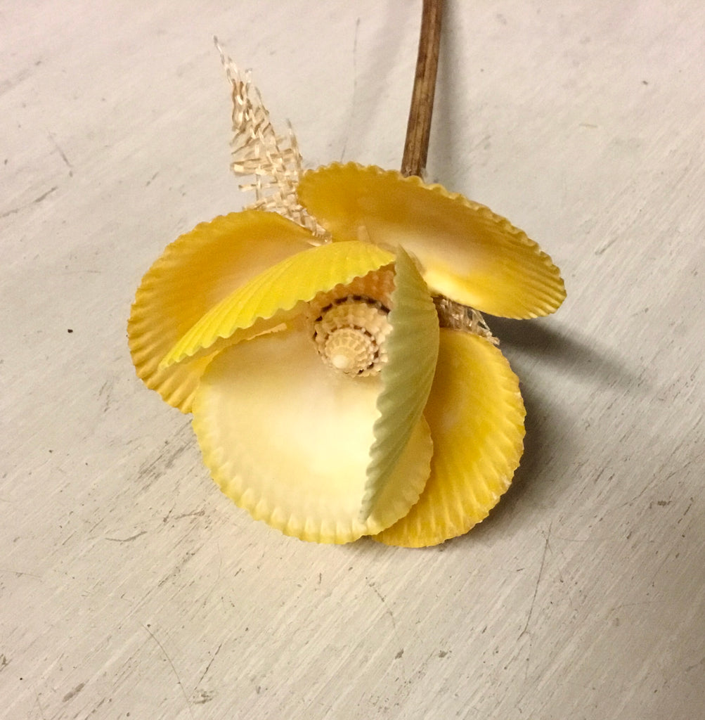 Rainbow Scallop Flower