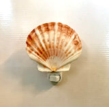 Irish Flat Scallop Shell Nightlight