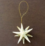 Mini Starfish Ornament