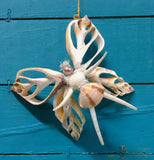 Butterfly Fairy Seashell Ornament