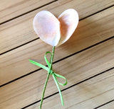 Shell Heart Flowers