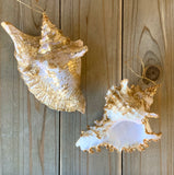 Gold Leaf Shell Ornament
