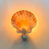 Irish Flat Scallop Shell Nightlight