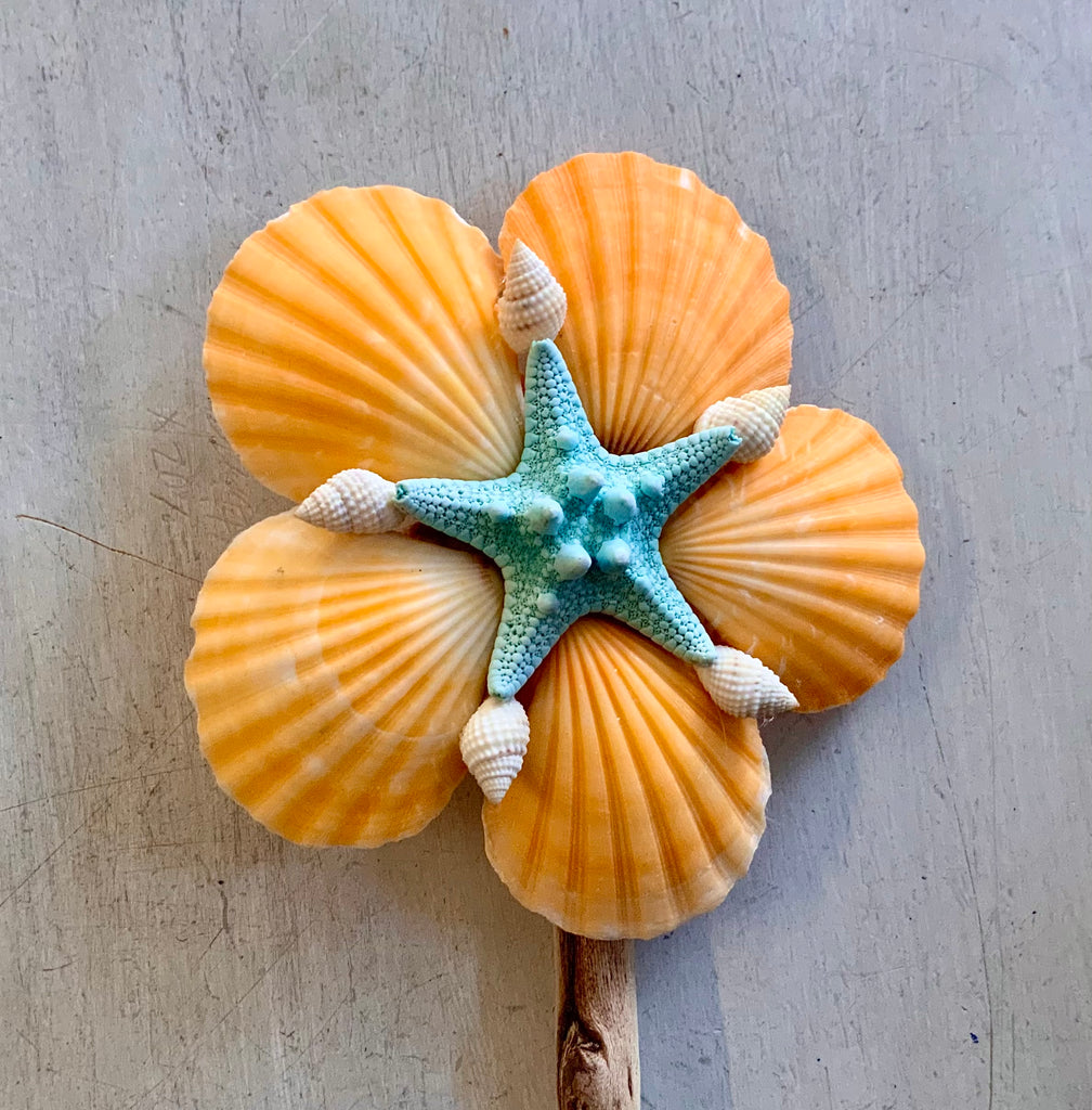 Starfish Scallop Flower
