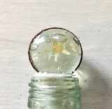 Glass Pebble Top Collecting Bottles