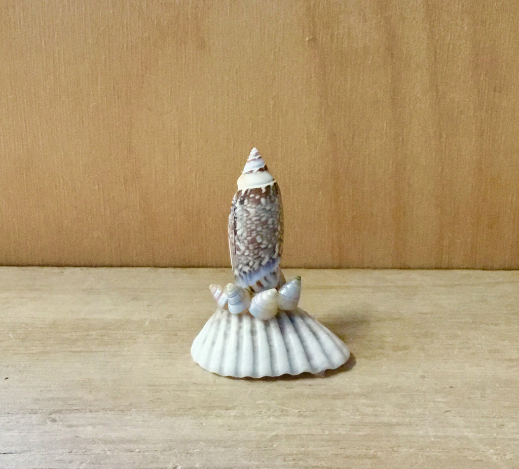 Seashell Ring Holder
