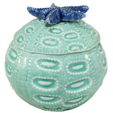 Blue Starfish Urchin Trinket Box