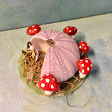 Sea Urchin Fairy House