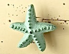 Colorful Starfish Knob