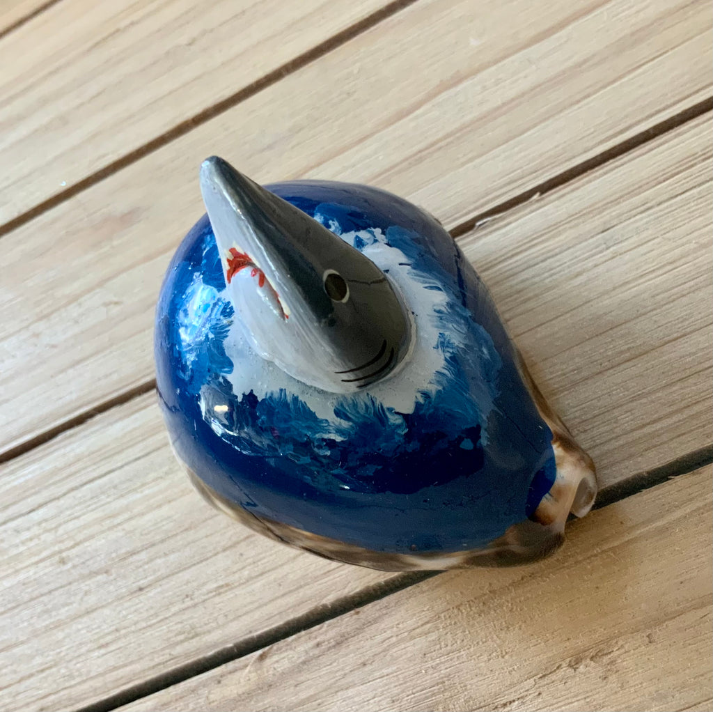 Shark Cowrie Seashell