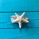 Mother of Pearl Barrette