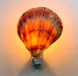 Spondylus Clamshell LED Nightlight