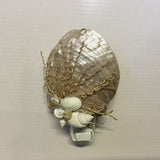 Abalone Shell Nightlight