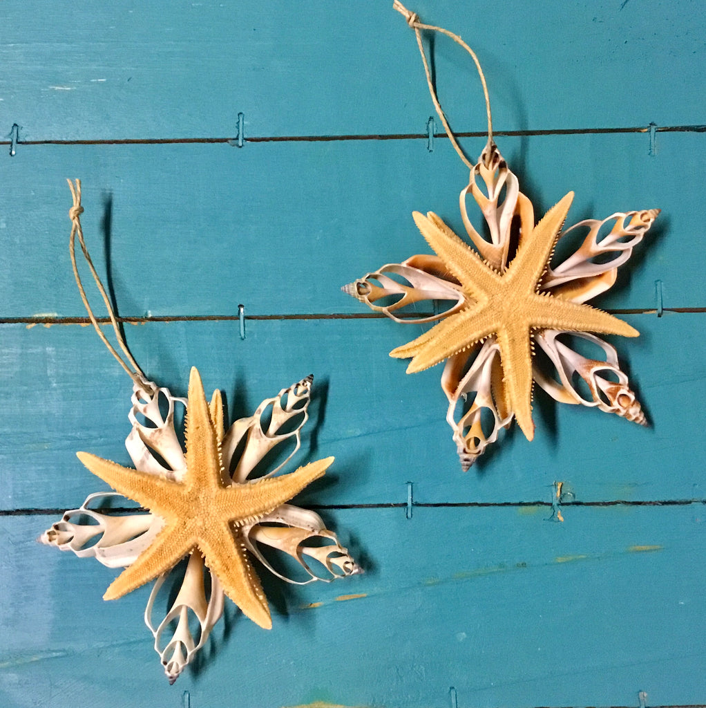 Natural Sliced Star Ornament