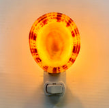Limpet Shell Nightlight