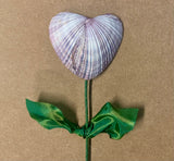 Shell Heart Flowers