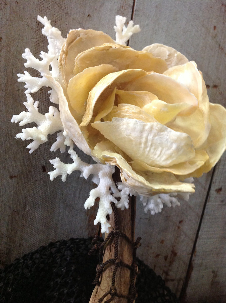 Jingle Shell Coral Rose