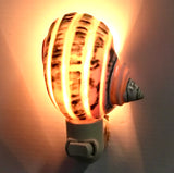 Turbo Shell Nightlight