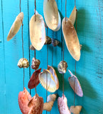 Coconut Rainbow Scallop Windchime