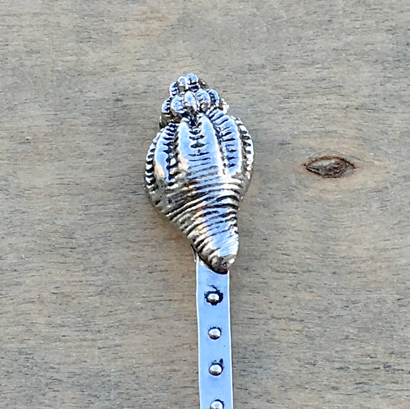 Shell Spoon