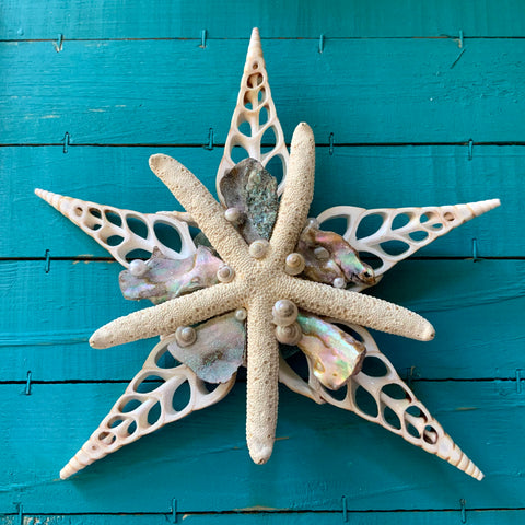 Abalone Star Wall Decor