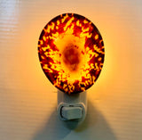 Limpet Shell Nightlight
