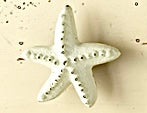 Colorful Starfish Knob