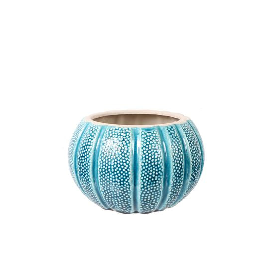 sea urchin plant pot Sea Urchin Planter