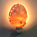 Abalone Shell Nightlight