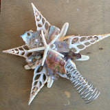 Abalone Shell Tree Topper Star
