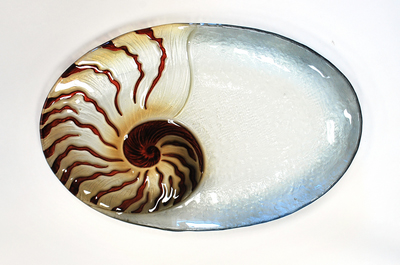 Nautilus Glass Plate