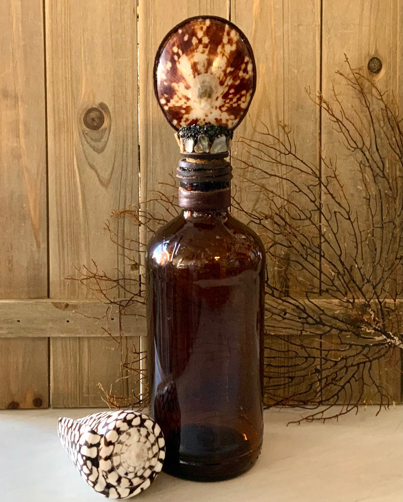 Tiger Limpet Shell Cork Bottle