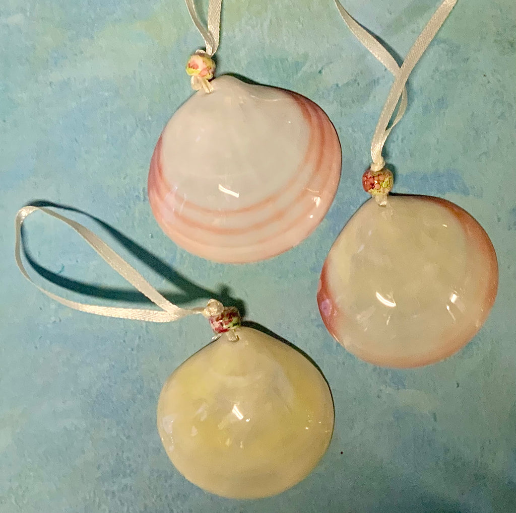 Polished Butter Clam Ornament