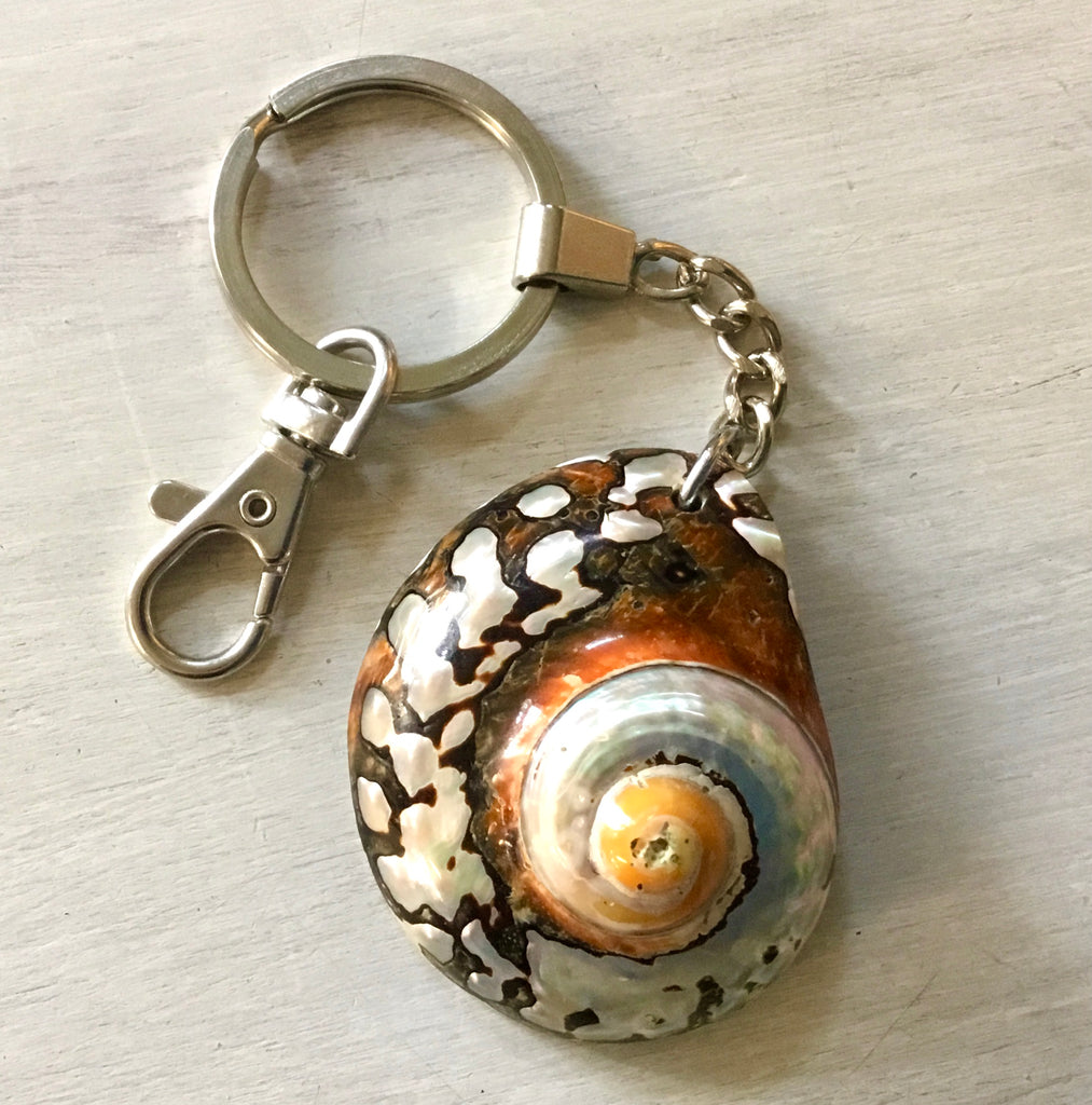 Pacific Turbo Shell Keychain